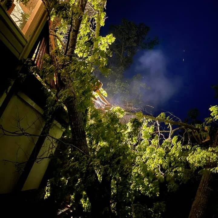 Trees that fell on a house at night