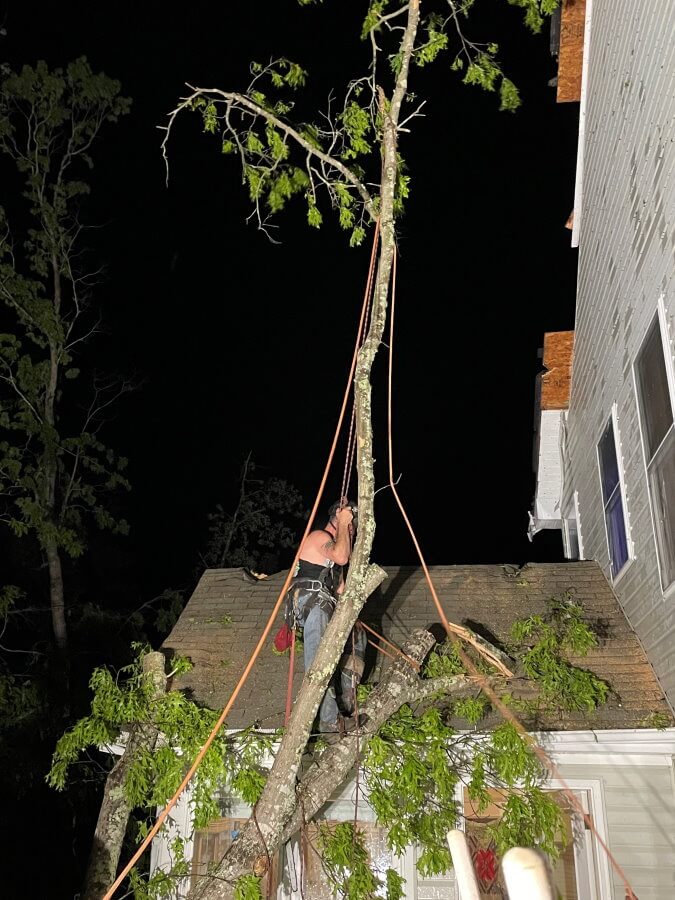 Image of a storm cleanup